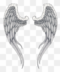 Wings Tattoos Png Transparent Images - Best Angel Wings Png,Demon Wings Png