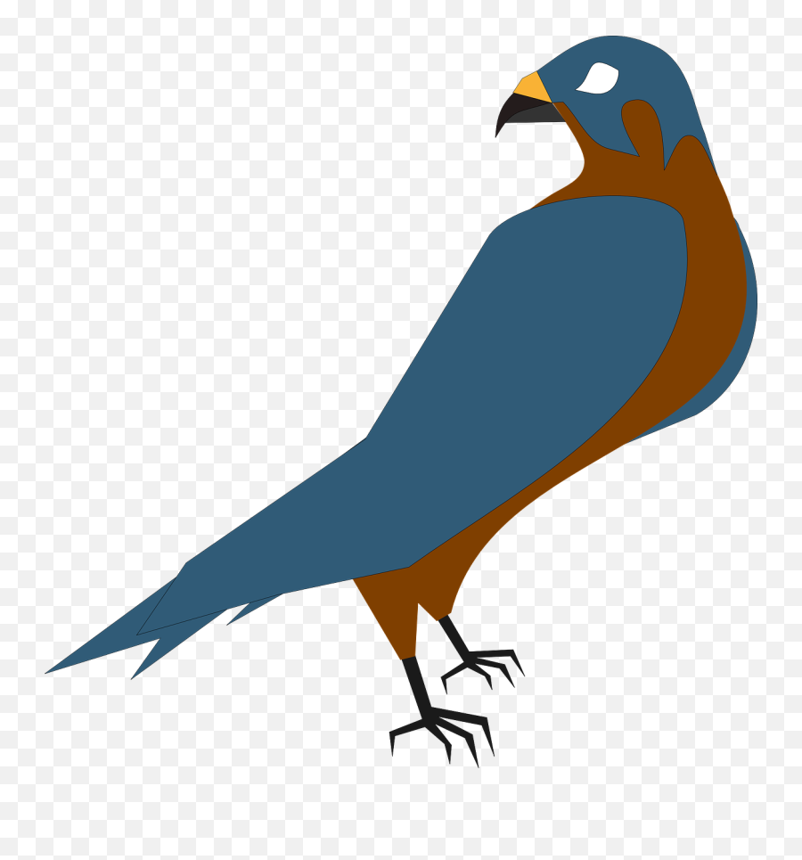 Falcon Bird Of Prey - Free Vector Graphic On Pixabay Hawk Clip Art Png,Prey Logo Png