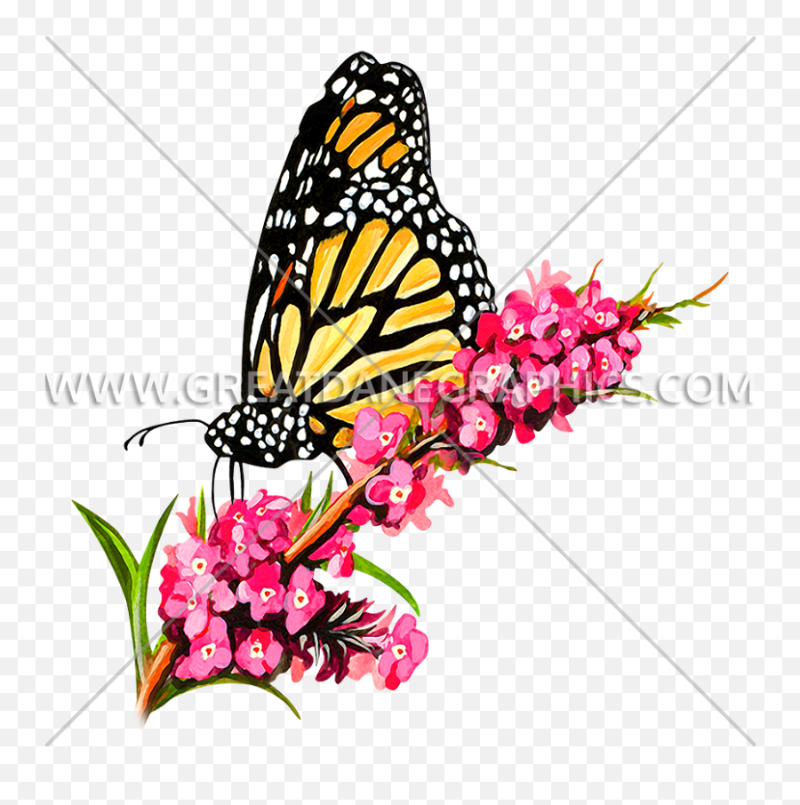 Monarch Butterfly Production Ready Artwork For T - Shirt Illustration Png,Monarch Butterfly Png