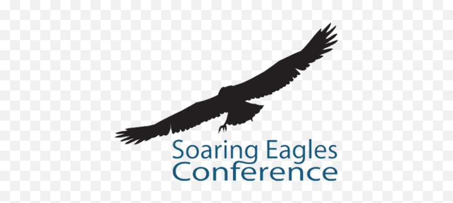 Soaring Eagles Conference Mysite - Hawk Png,Soaring Eagle Png