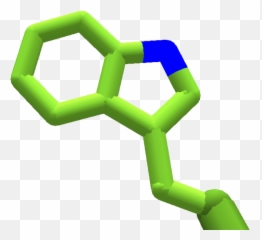 Amino Acid Png Image File - Clip Art,Acid Png