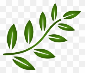 Leaves Vector Png 4 Image - Tree Branch Clip Art