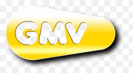 Vehicle Lifts Vl - Car Lifts Gmv Poland Gmv Elevator Logo Png,Vl Logo