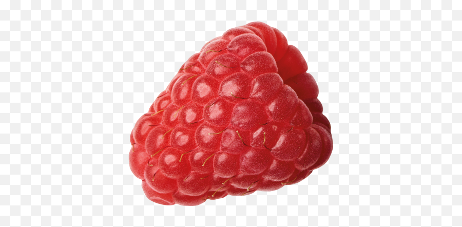 Raspberries Berryworld - Raspberry Png,Raspberries Png