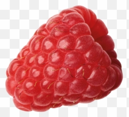 Raspberries Berryworld - Raspberry Png,Raspberries Png
