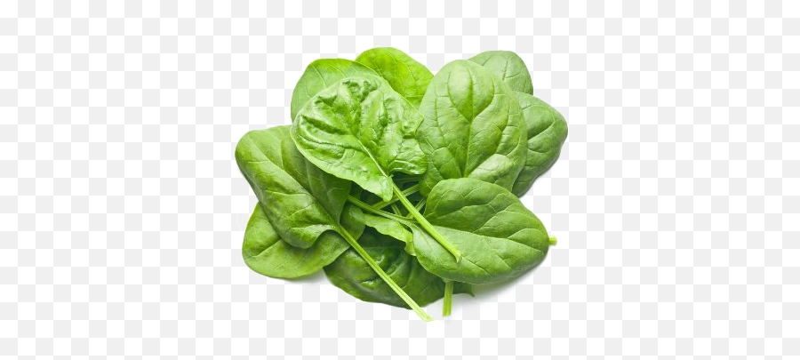 Download Free Png Spinach Clipart - Leaf Vegetable Magnesium Rich Foods,Spinach Png