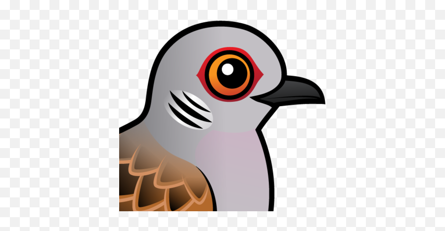 Download About The European Turtle Dove - Pigeons And Doves Turtle Dove Cartoon Png,Doves Png