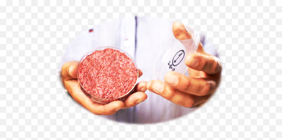 Worlds First Artificial Meat For Hamburger Of Cost 330000 - Mark Post Lab Grown Meat Png,Meat Transparent