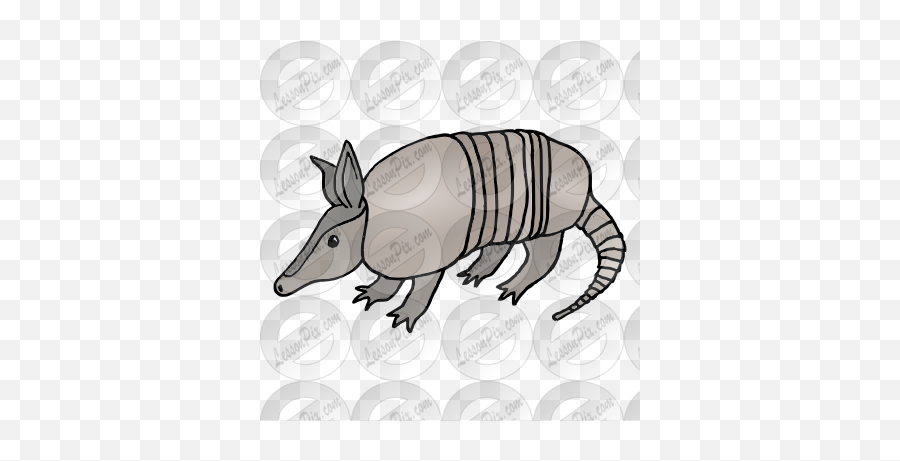 Armadillo Picture For Classroom Therapy Use - Great Armadillo Png,Armadillo Png