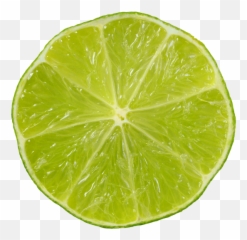 Lime Slice Transparent U0026 Png Clipart Free Download - YWD Key