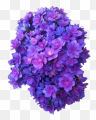 Purple Flowers Transparent - Background png