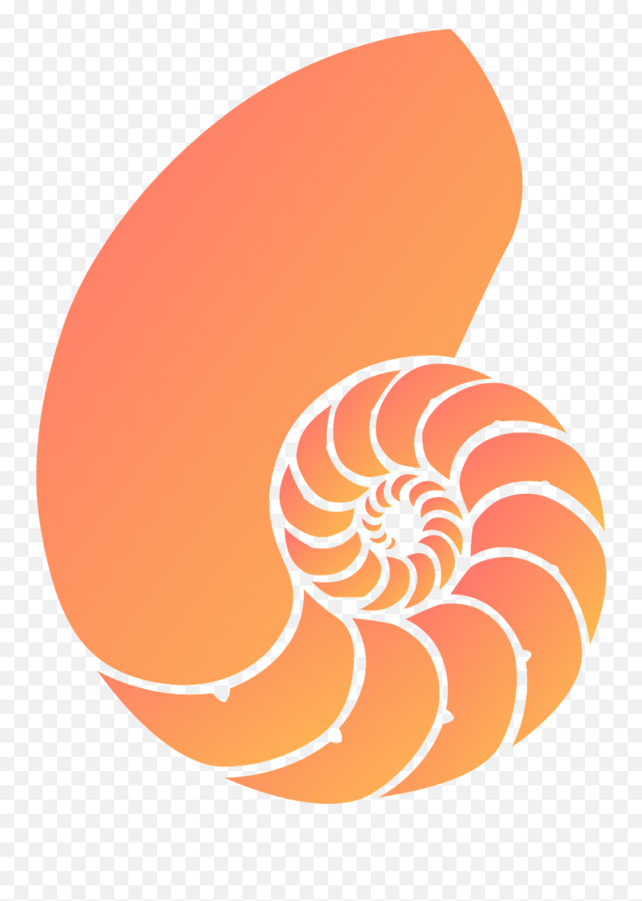 Shell Conch Mussel Sea Png Picpng - Teal Seashells Clipart Transparent,Sea Shells Png Shell Conch Mussel Sea Png Picpng - Teal Seashells Clipart Transparent,Sea Shells Png