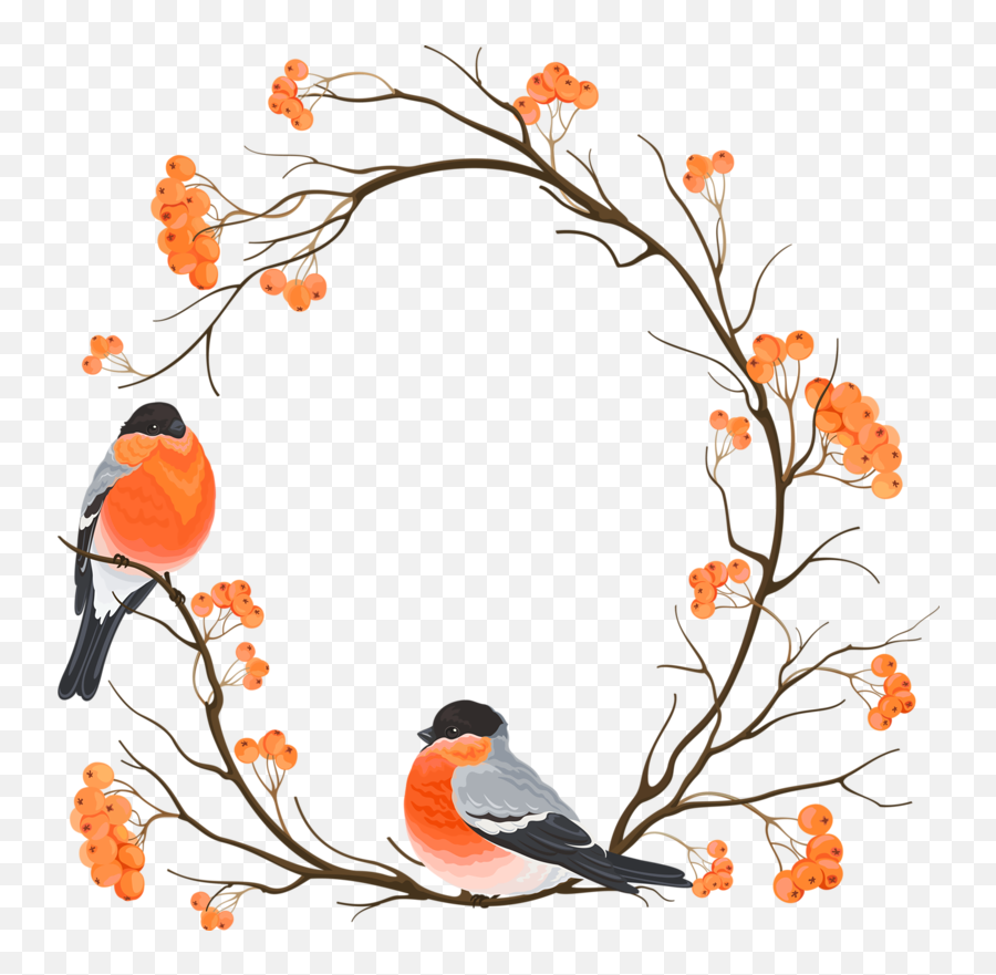Download Branch Chinese Round Bird Eurasian Bullfinch - Nest Cardinal Bird On Branches Clipart Png,Embroidery Png