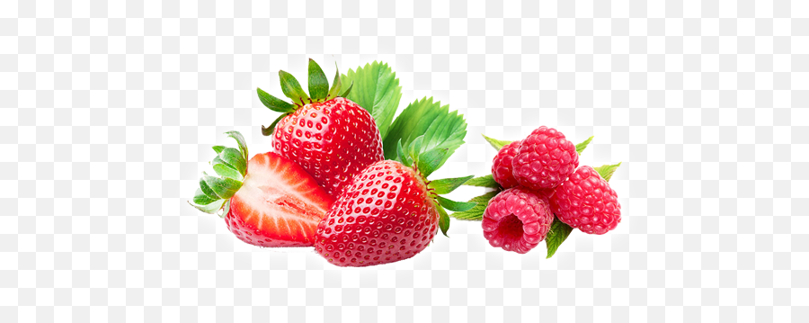 Index - En Viveros California Plantas De Fresas Strawberry Png,Fresa Png
