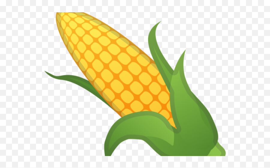 Emoji Maiz Png - Ear Of Corn Cartoon,Corn Clipart Png