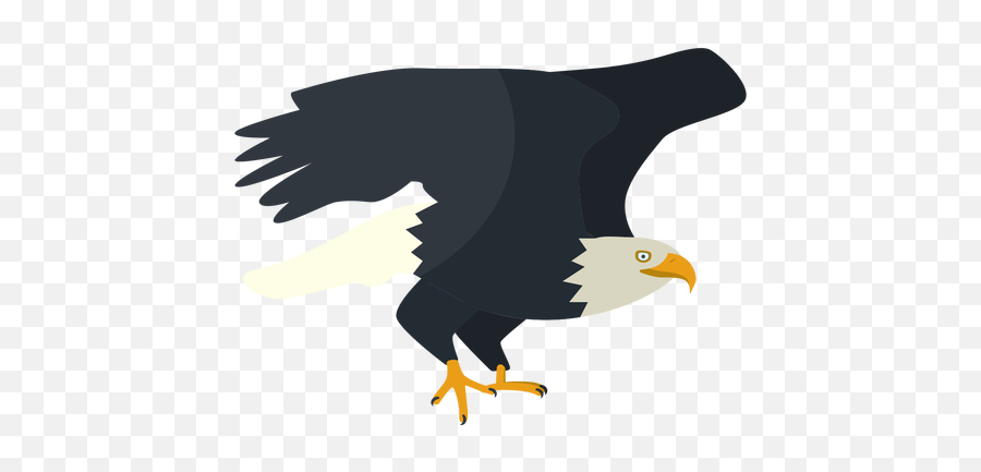 Bald Eagle Flat Illustration - Transparent Png U0026 Svg Vector File Bald Eagle,Bald Eagle Transparent