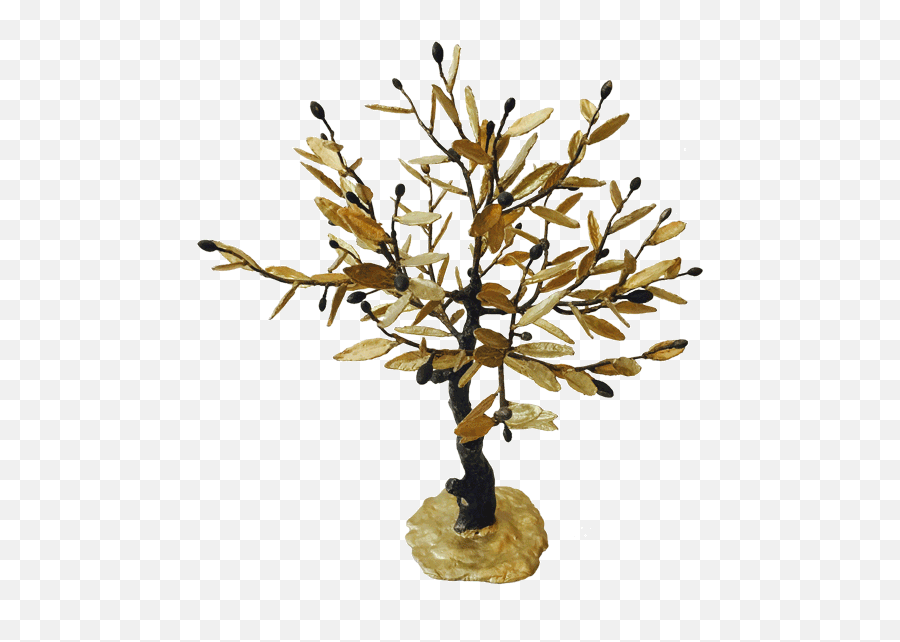 Download Hd Bronze Olive Tree - Bonsai Transparent Png Image Houseplant,Olive Tree Png