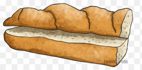 White Baguette Illustration - Wood Png,Baguette Png