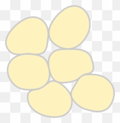 Fat Cells Medicine - Free Vector Graphic On Pixabay Adipose Tissue Clipart Png,Fat Png