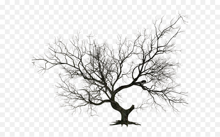 Halloween Tree Clipart - Transparent Background Dead Tree Png,Graveyard Png