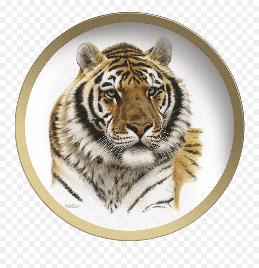 Download Hd Tiger Head Png - Png Tiger Head Logo,Tiger Head Png