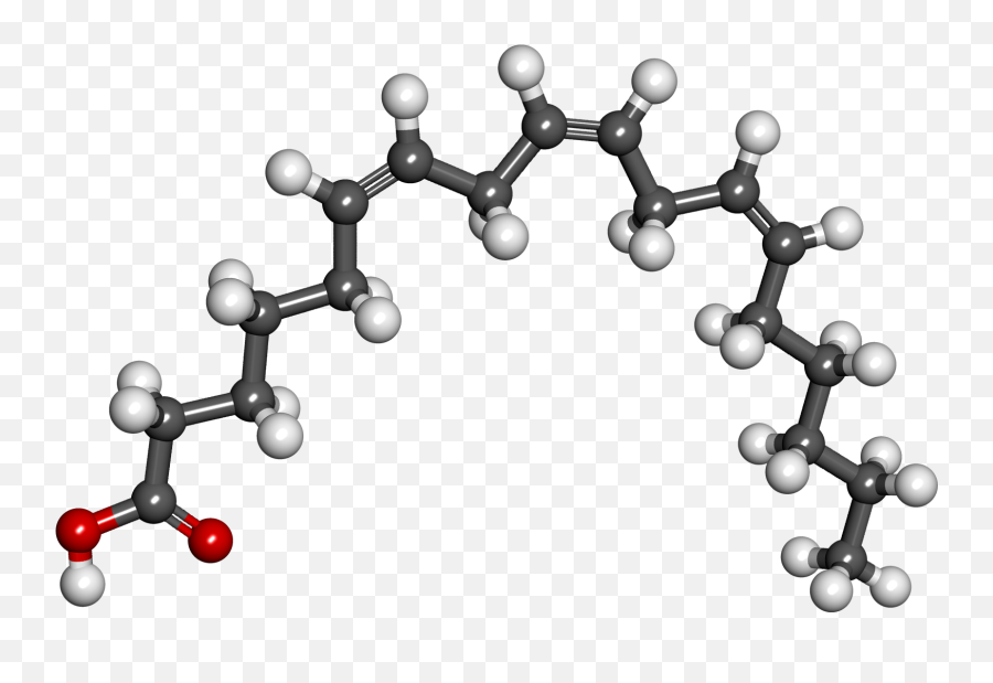 Gamma Linolenic Acid - Acido Linoleico Png,Acid Png