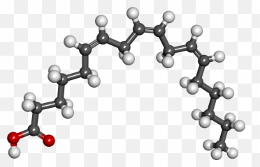 Gamma Linolenic Acid - Acido Linoleico Png,Acid Png