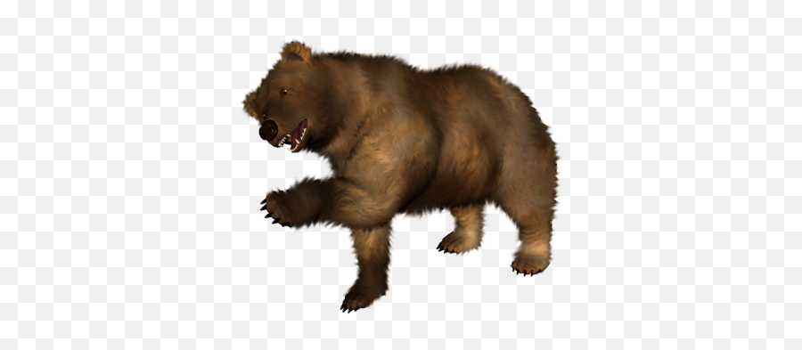Brown Bear Png Image - Clipart Bear Transparent Background,Brown Bear Png