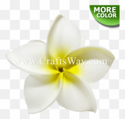 Craftsway - Flower png