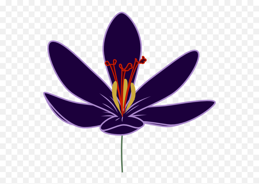 Clipart Of Barry Crocus And Dogwood - Clip Art Png,Dogwood Png