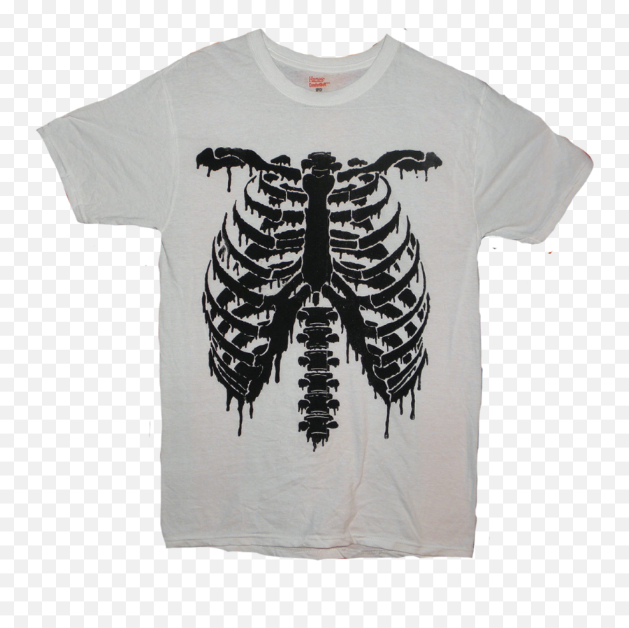 Download Image Of The Rib Cage Shirt - Tshirt Full Size Trilobite Png,Rib Cage Png