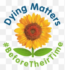 Before Their Time Dying Matters Png