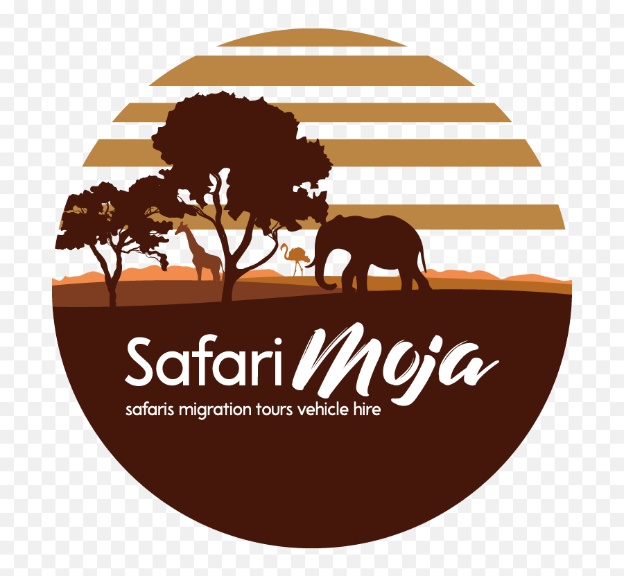 Personable Colorful Logo Design For Safari Moja Under The - Graphic Design Png,Safari Logo
