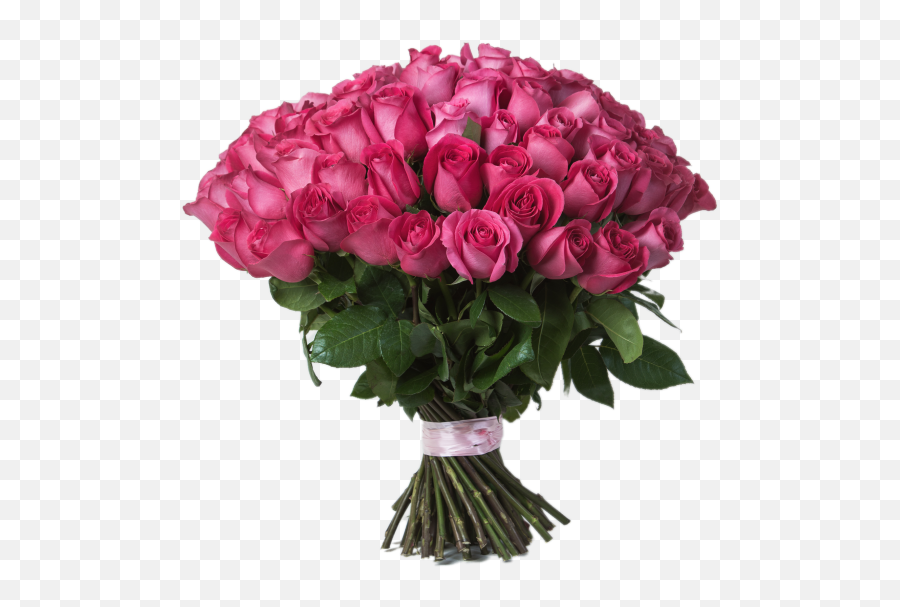 Download Pink Rose Bouquet - Garden Roses Png Image With No Png,Bouquet Of Roses Png