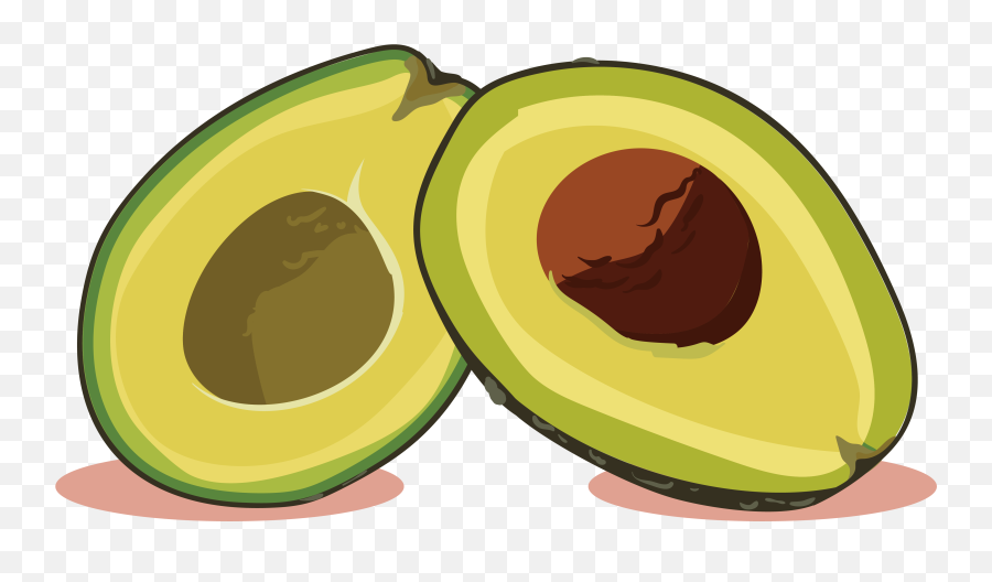 Avocado Euclidean Vector Computer File - Food Png,Aguacate Png