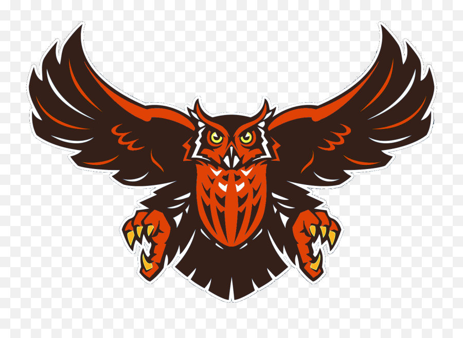 Owl Orange Cut - Rice University Football Logo Png,Cut Png