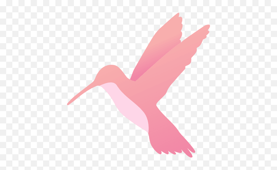 Hummingbird - Transparent Png U0026 Svg Vector File Karina Ventas Puerto Vallarta,Hummingbird Png