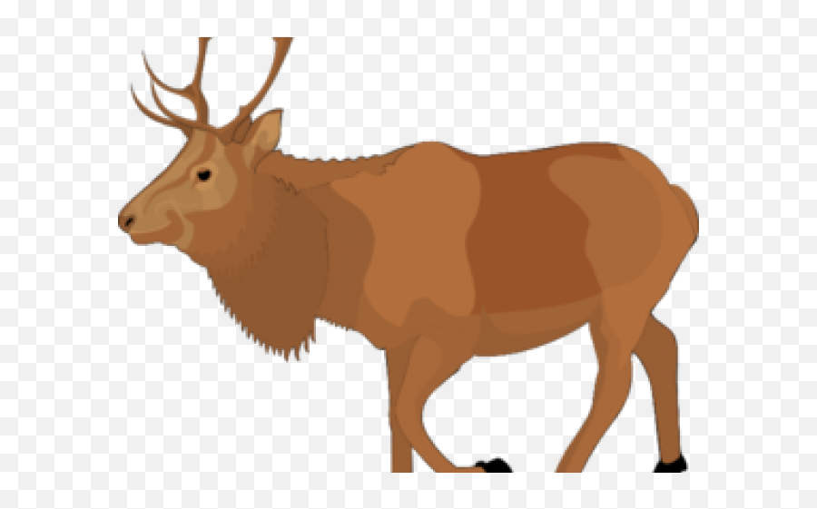 Free Moose Clipart - Animated Elk Transparent Cartoon Elk Clipart Png,Moose Transparent