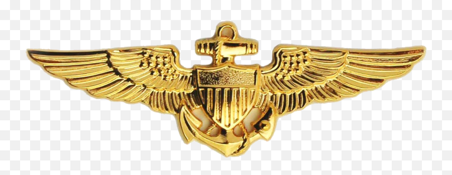 Naval Aviator Badge - Navy Wings Of Gold Png,Aviator Png
