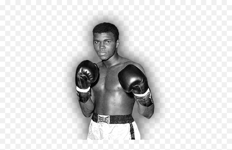 This Boxing Dvd Career Set Is Available - Famous People Born In January 30 Png,Ali A Png