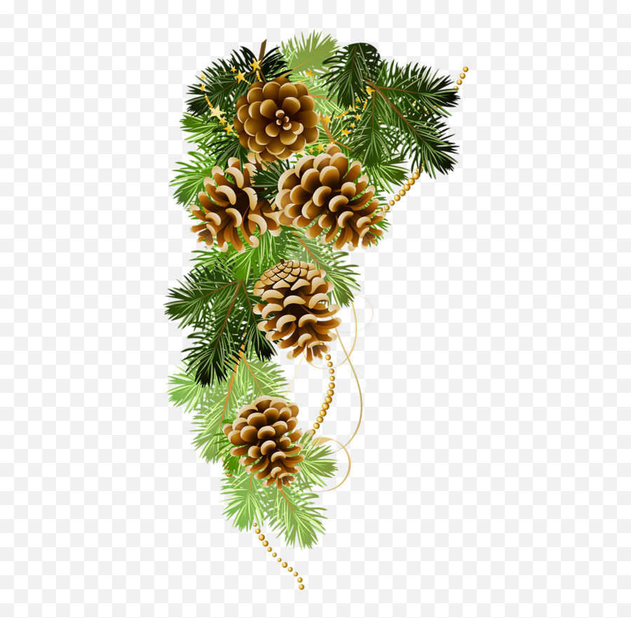 Pinecone Png - Pin By Lana On Pine Christmas Pine Cone Clipart,Pine Branch Png