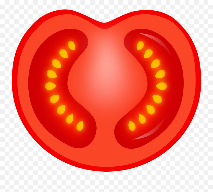 Free Photo Vegetable Organic Tomato - Dot Png,Transparent Salad Icon