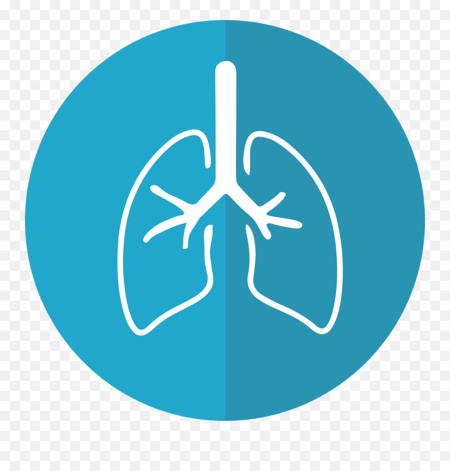 Lung Icon Lungs Illustrations - Lung Graphic Png,Respiratory Icon