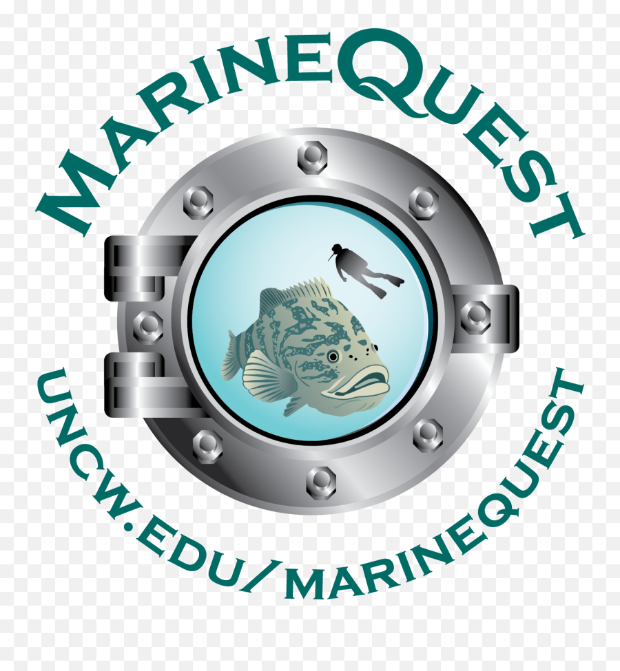 Marine Biology Summer Program - Marine Quest Camp Unc Wilmington Png,Biologist Icon