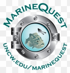 Marine Biology Summer Program - Quest Camp Unc Wilmington png