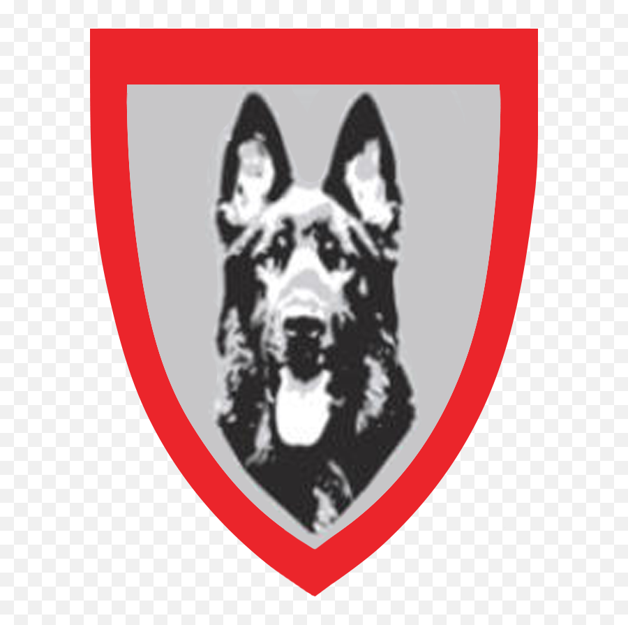 Home - Stein K9 Northern Breed Group Png,German Shepard Puppy Icon