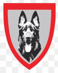 Home - Stein K9 Northern Breed Group png