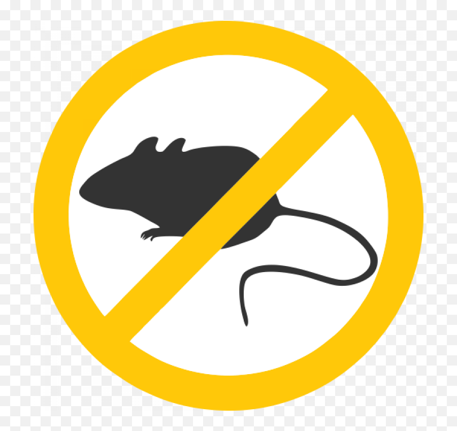 Clipart Rat Trap - Png Download Full Size Clipart Glue Rat Trap Vector,Mousetrap Icon