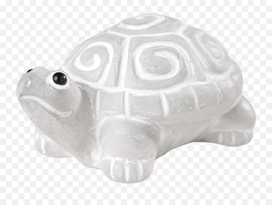 Myrtle The Turtle - Chelonoidis Png,Cute Turtle Png