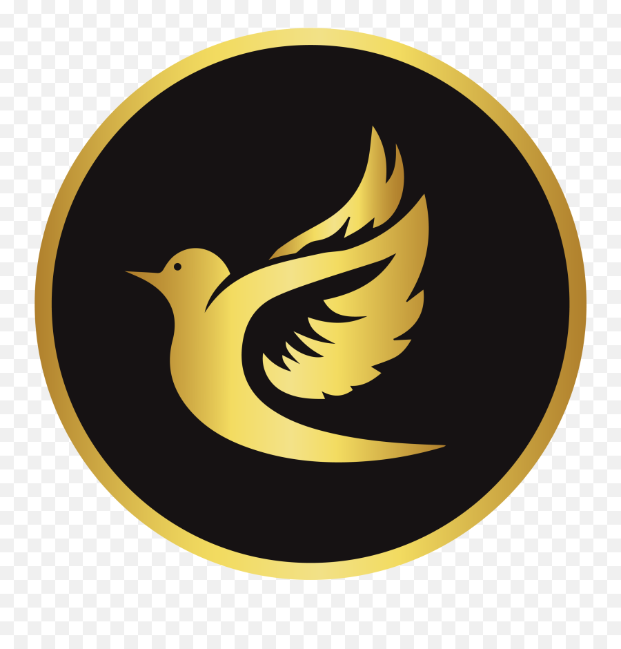 Ila Exim Software Development - Editing Video Edit Logo Png,Gold Twitter Icon